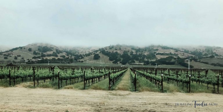 Napa vineyard wine field