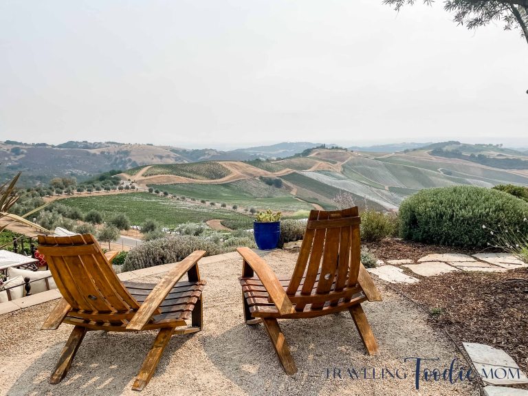 Paso Robles California Daou Winery Vineyard with Pretty View
