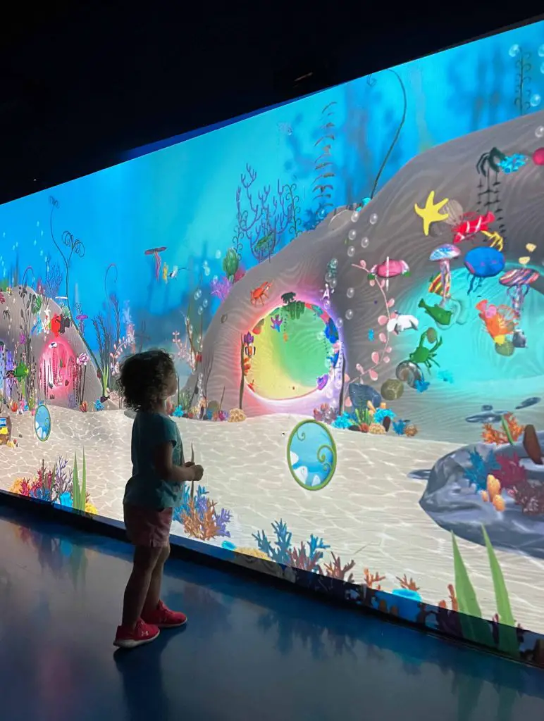 sea life aquarium in kansas city color your own sea creature projection