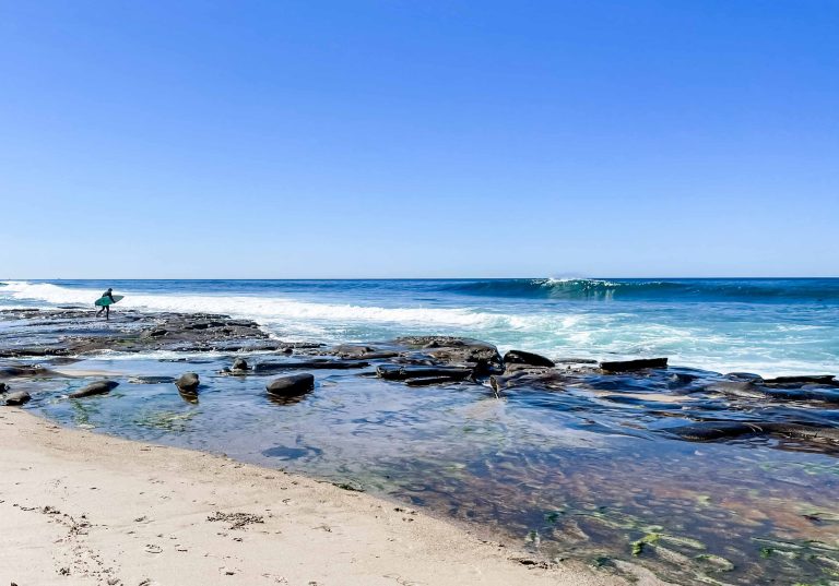 la jolla san diego california windansea beach surfer