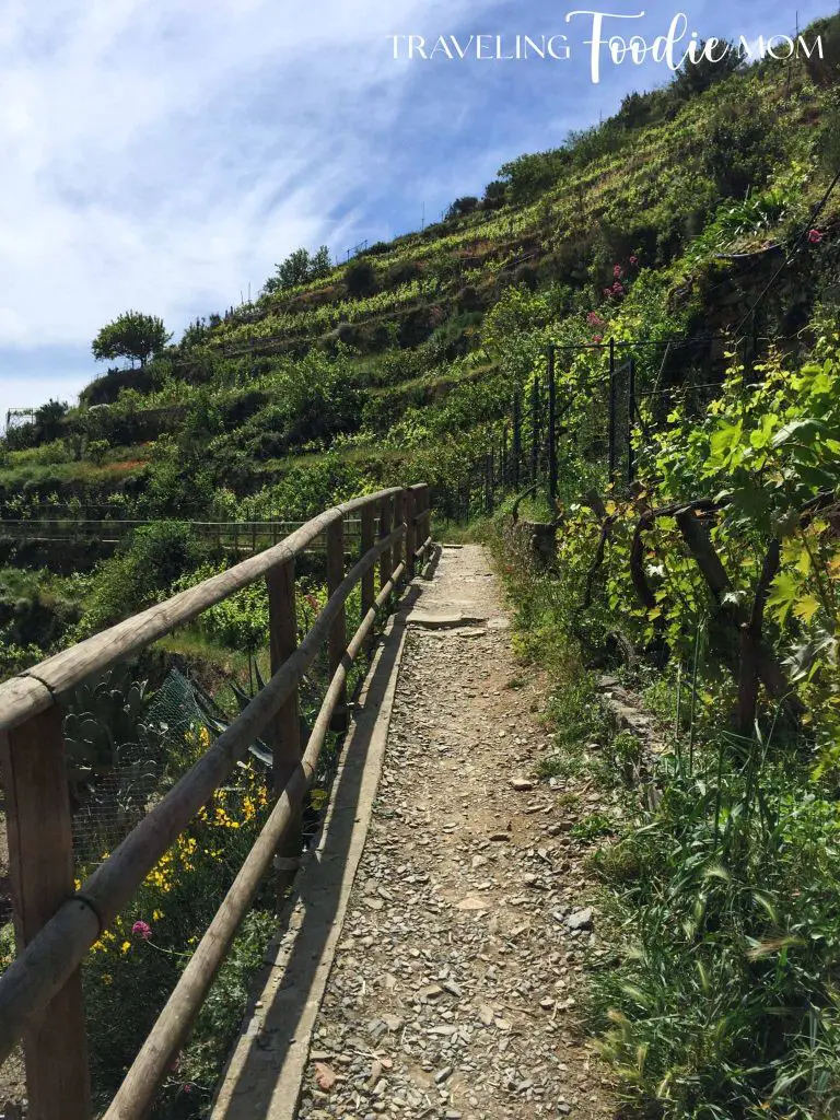 cinque terre hiking trail italy vacation