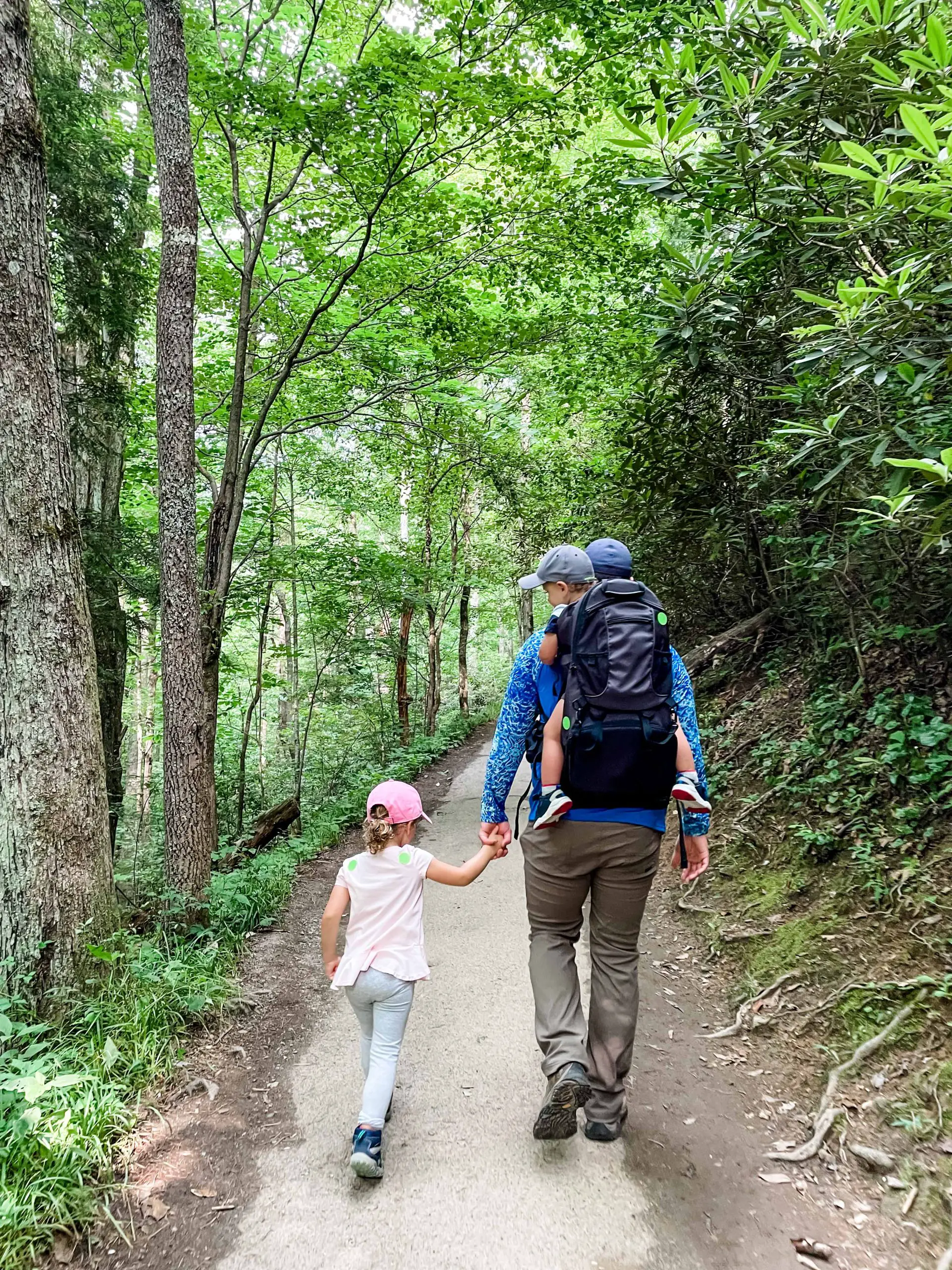 laurel falls trail smoky mountains tn hiking with kids