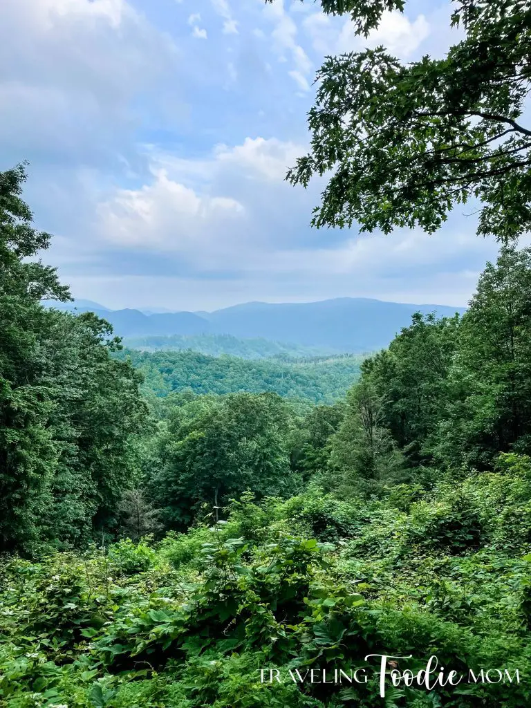 smoky mountains roaring fork motor trail scenic drive