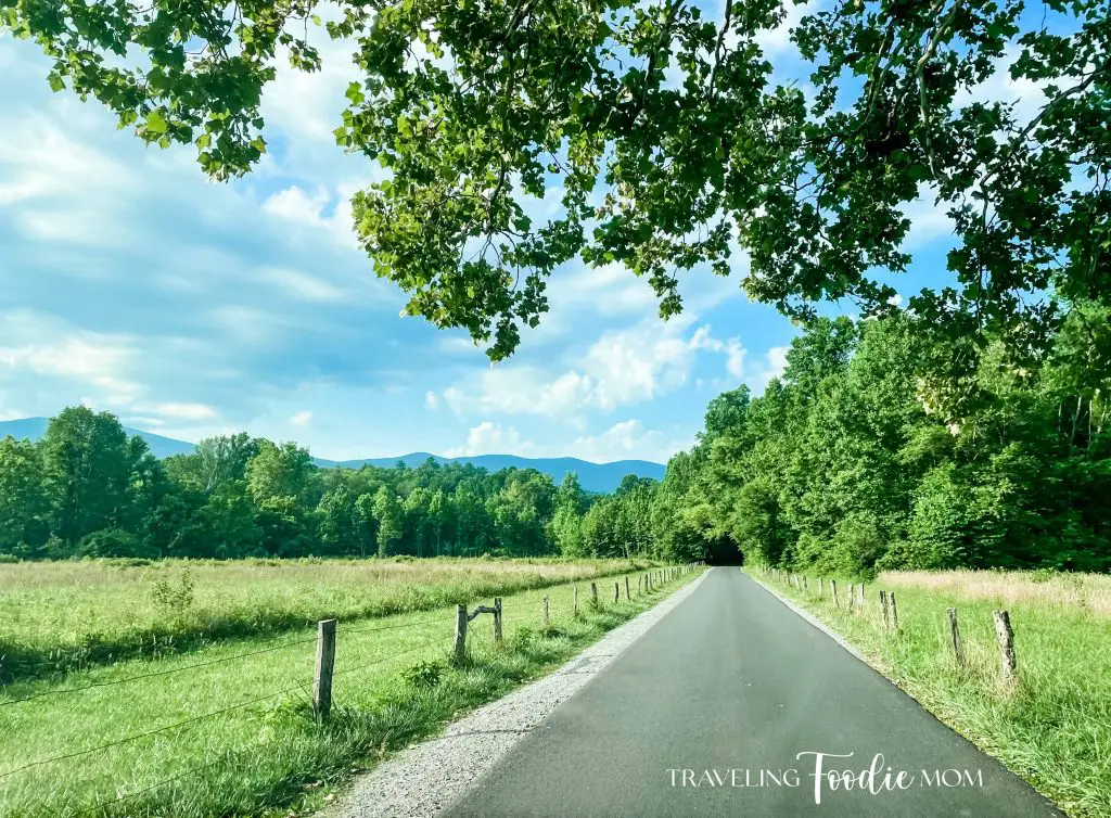 the great smoky mountain national park cades cove loop scenic drive