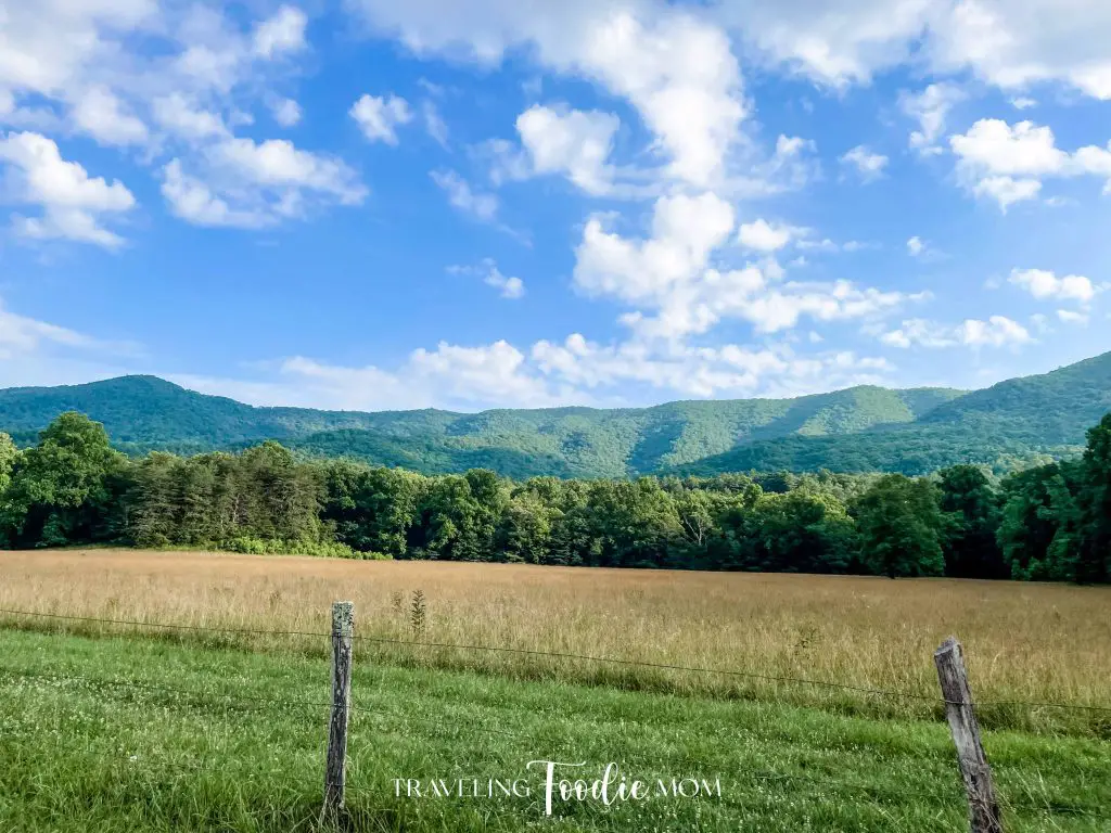 the great smoky mountain national park cades cove loop scenic drive 2