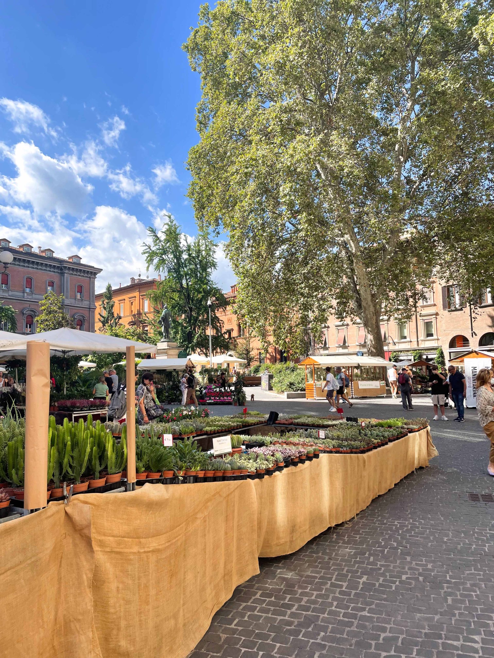 bologna italy things to do outdoor garden market